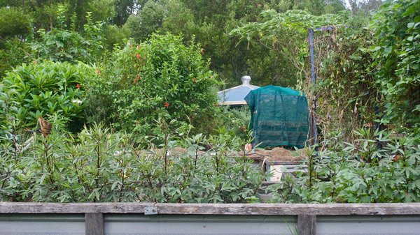 Quali tecniche di coltivazione permaculture possono essere adottate in un piccolo giardino domestico?